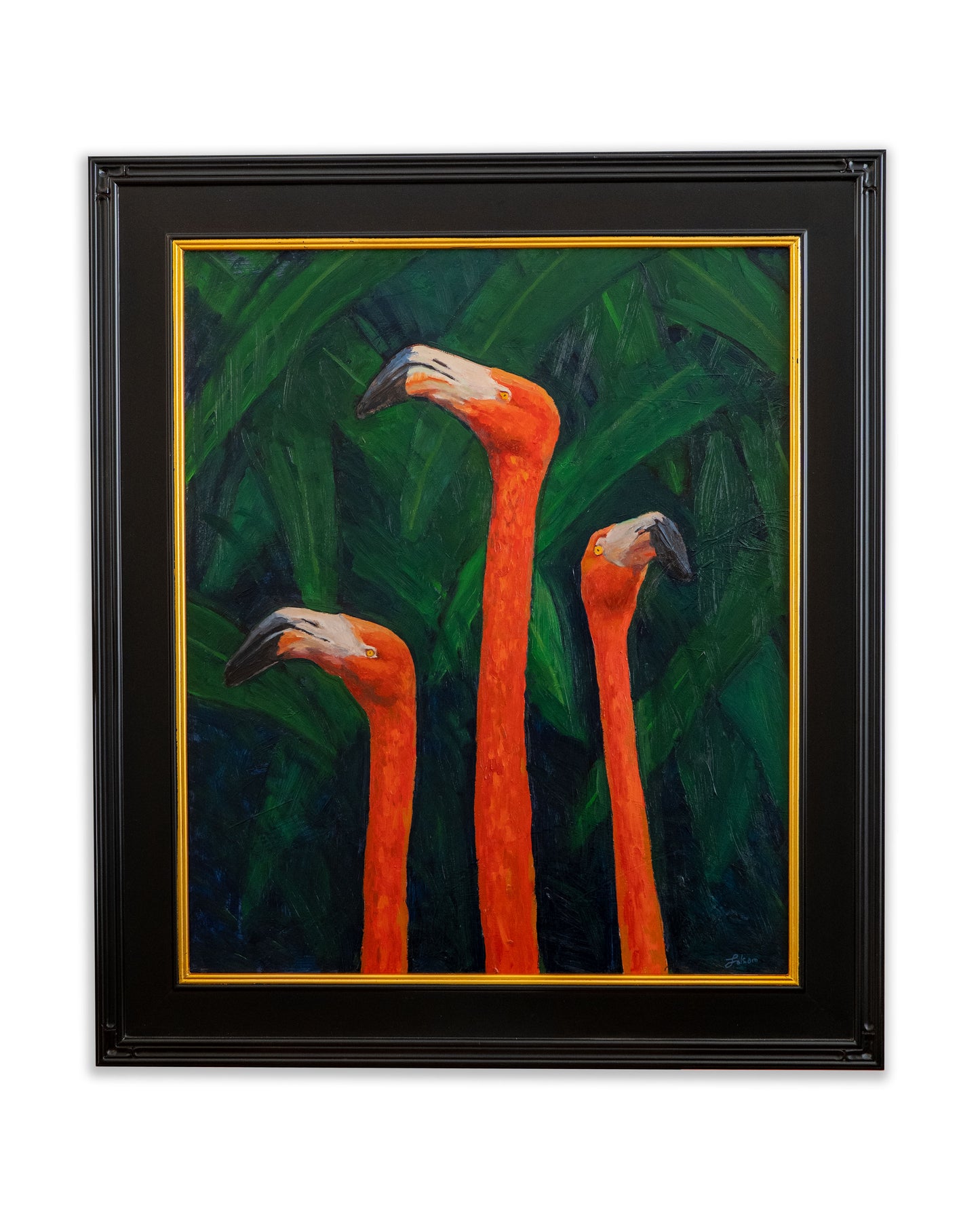 Flamingos